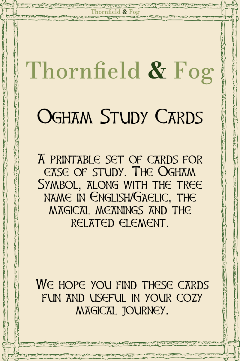 Ogham Study Cards